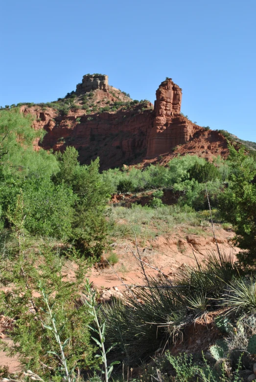 a rock outcropping in front of some trees and bushes