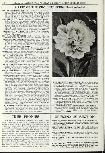 a magazine with an image of a flower