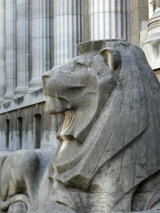 this statue of a lion is standing in front of a building