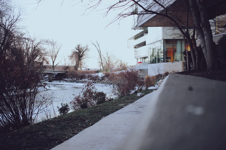 a sidewalk along the river is near trees