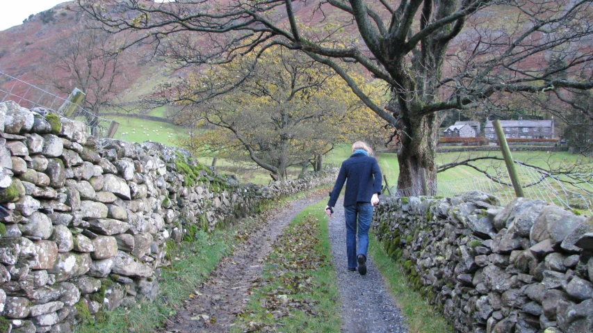 a person walking down a path in a lush green valley