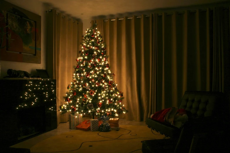 the tree is sitting in the living room at night