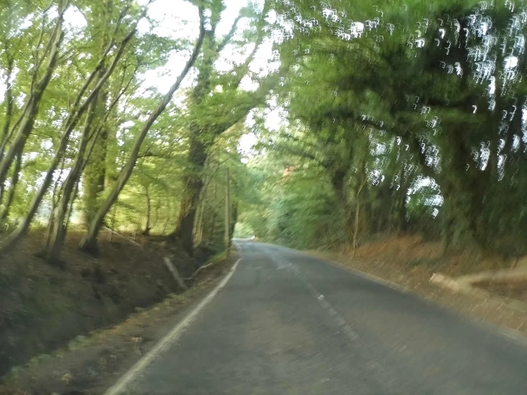 there is a view of trees on the road