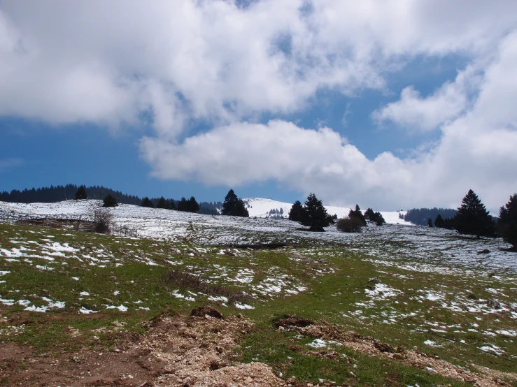 a large open field covered with snow and trees