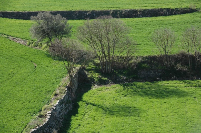 an aerial view of a pasture in the country