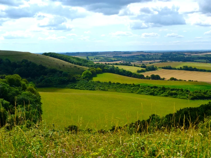 a lush green country landscape on a cloudy day