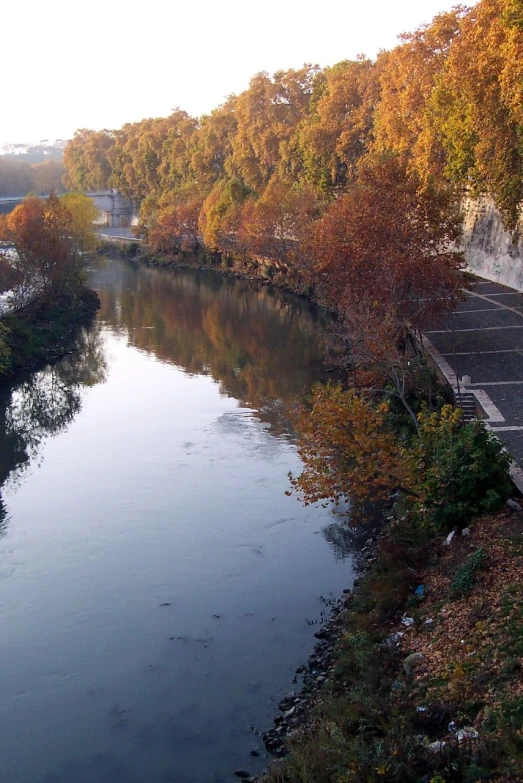 a body of water surrounded by trees with fall foliage