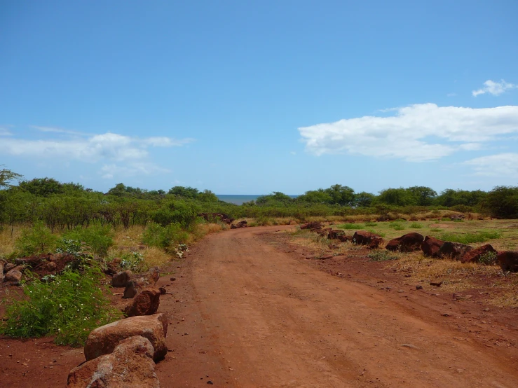 the road is empty and some trees near by