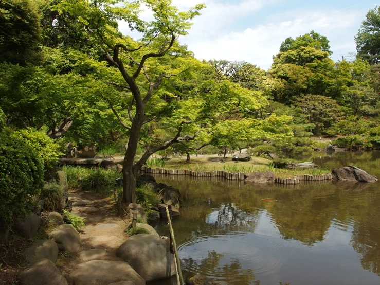 a calm pond with green trees and a rock area with steppings