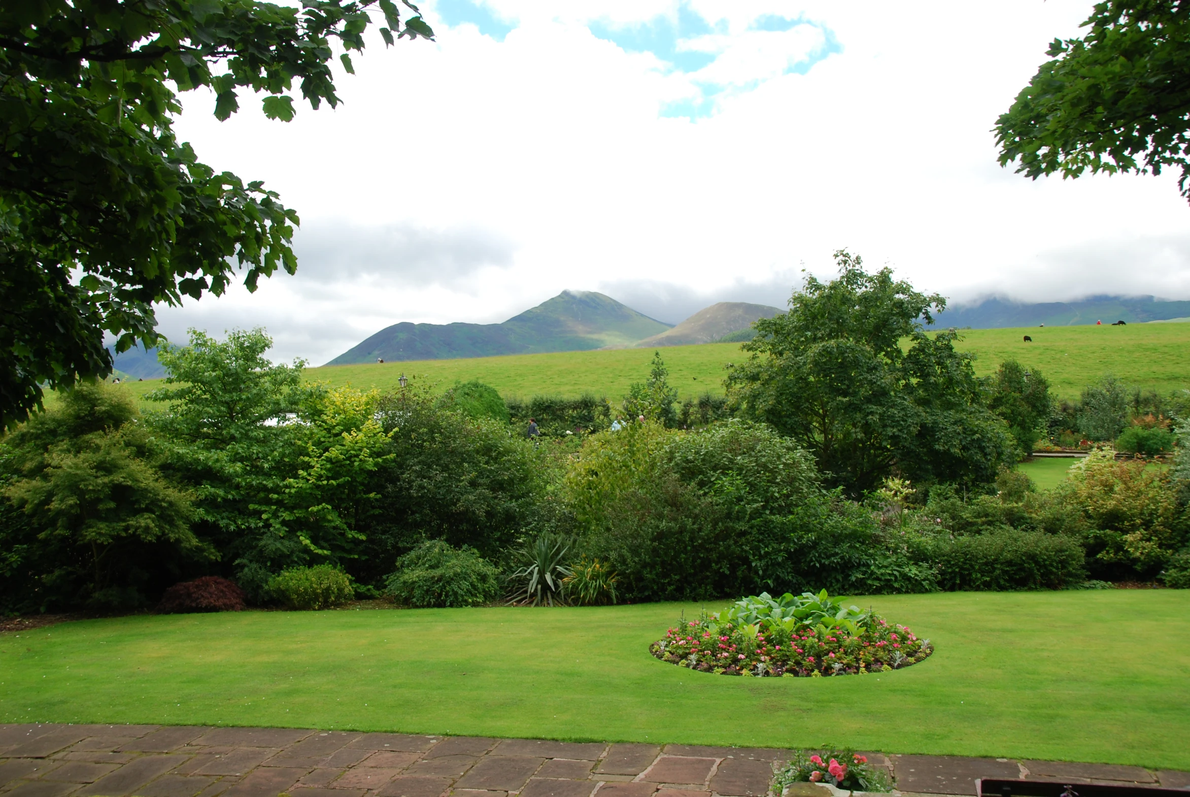 an outdoor view of grass and trees and mountains