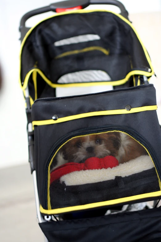 two pieces of luggage with a dog on the bottom