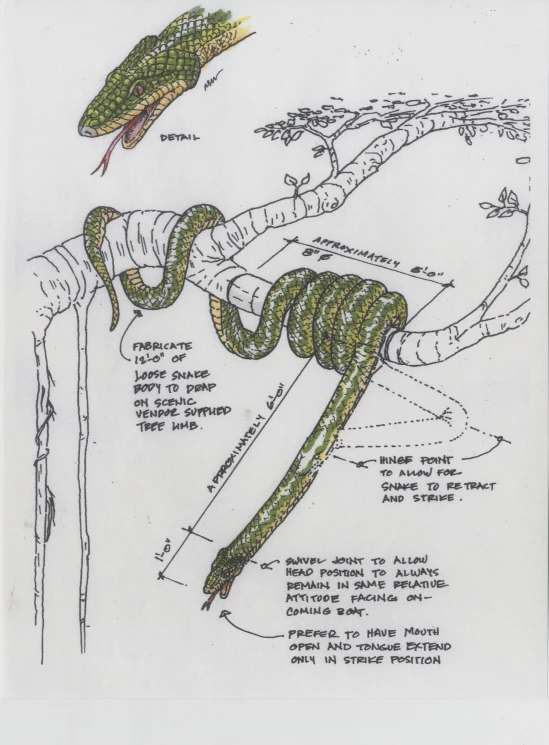 a snake is shown with words describing its features