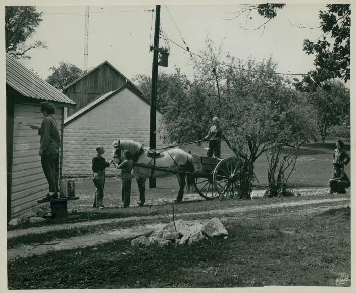 three men standing next to a white horse