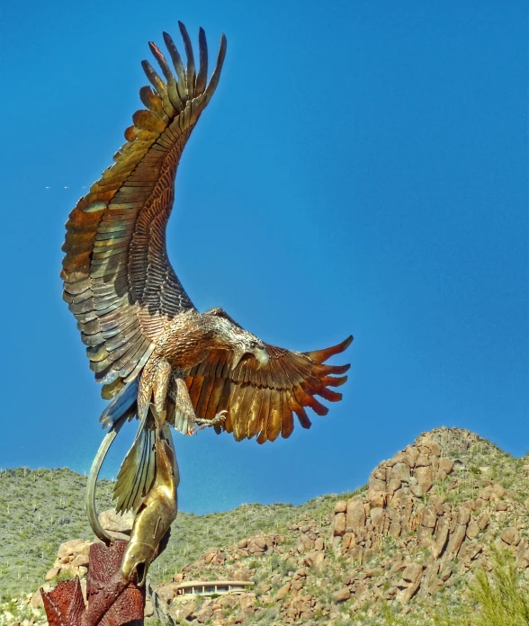 a large hawk landing on a tree nch