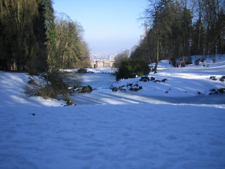 a path in the snow surrounded by some trees