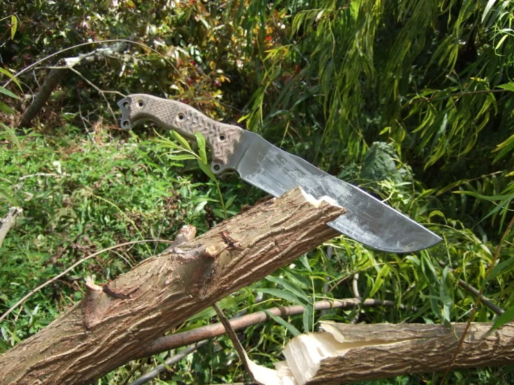 a knife stuck in a tree in a field