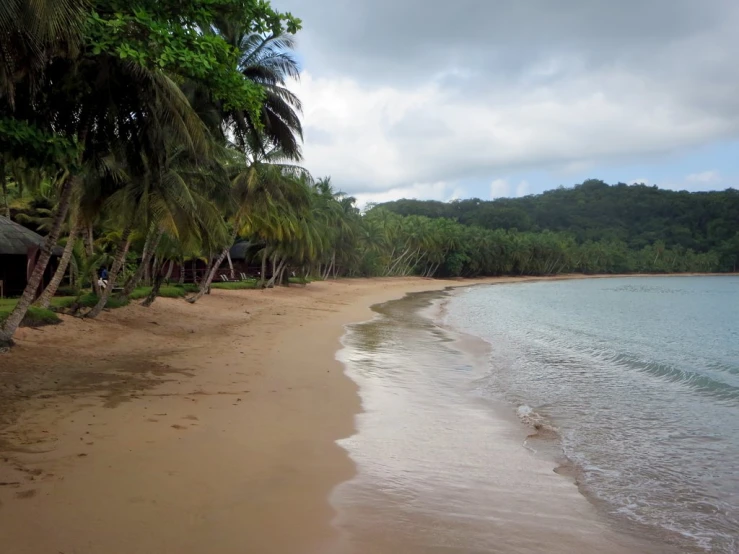 a sandy beach with umbrellas next to the ocean