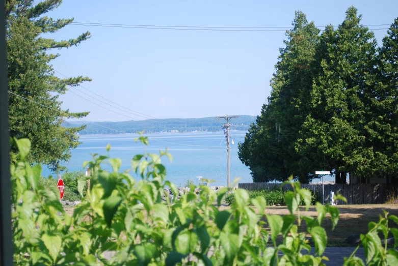 a lake with power lines and some trees near by