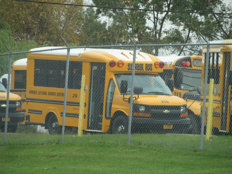 two yellow school buses parked behind a chain linked fence