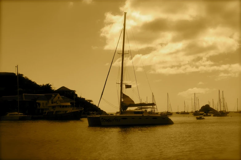 sailboats docked at a marina with houses in the background