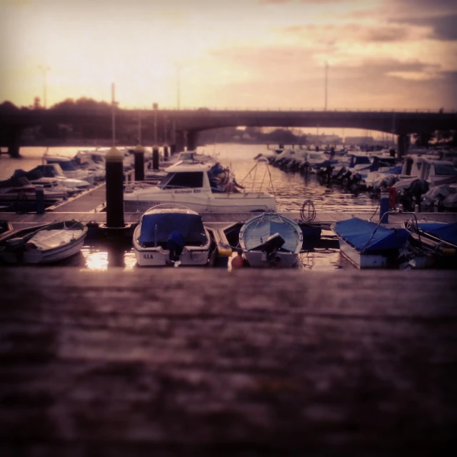 a harbor with boats and cars parked near the water