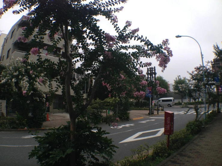 a street with trees in the corner and traffic on both sides