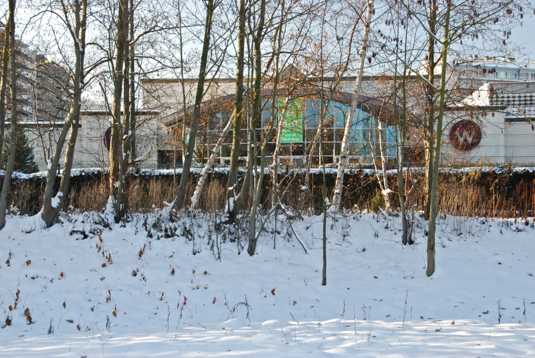 a snowy landscape with several trees and buildings in the background