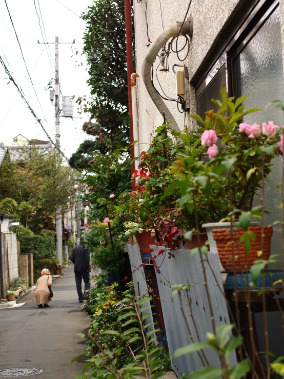 man walking along street with pots of flowers