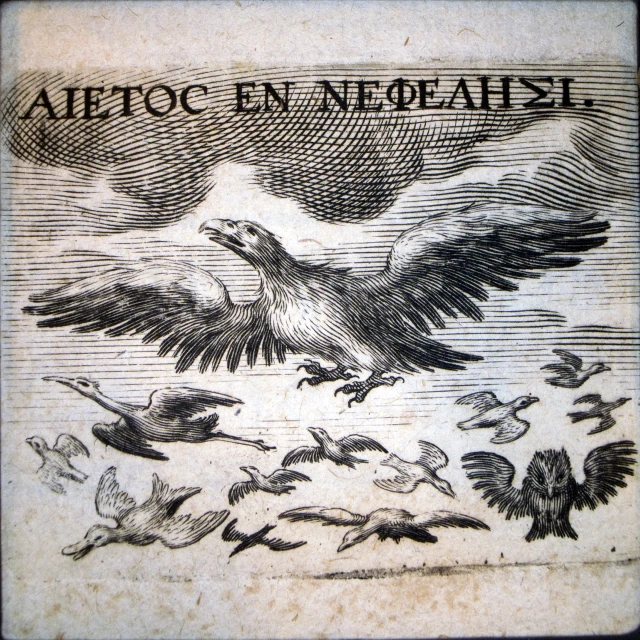 a drawing of an eagle flying over many smaller birds