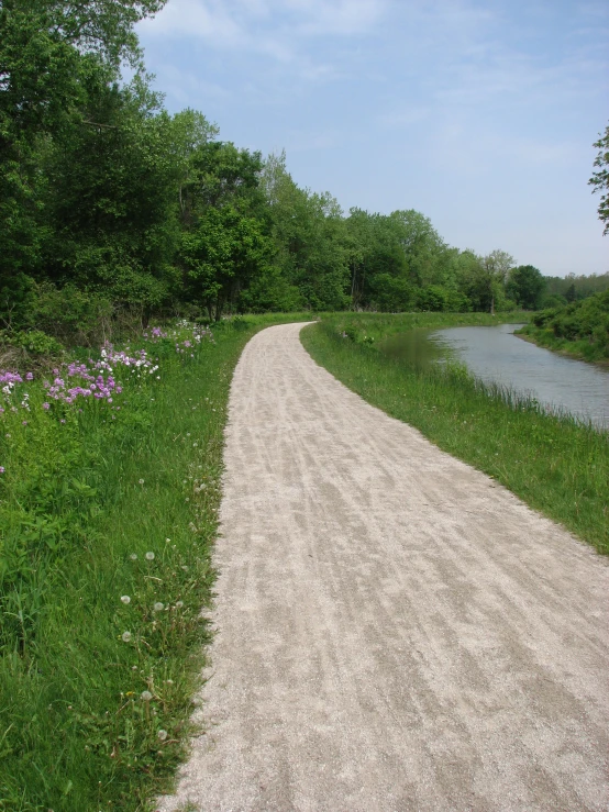 a dirt path through an area that has many flowers along side of it