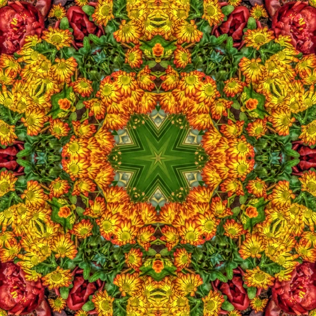 an orange and red flowers pattern is arranged