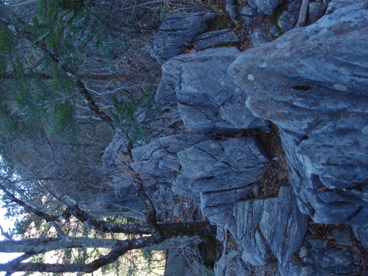 some large rocks sitting among the trees