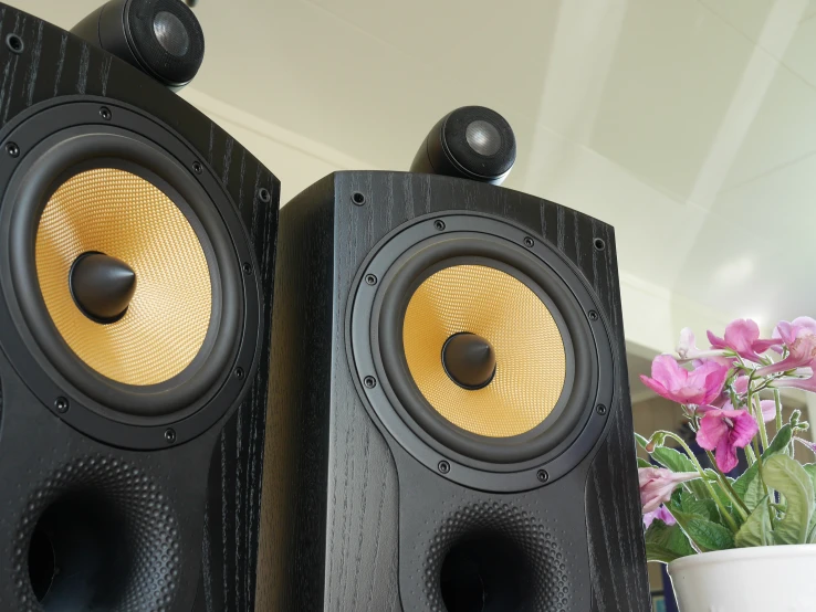 two big speakers sitting next to a vase of flowers