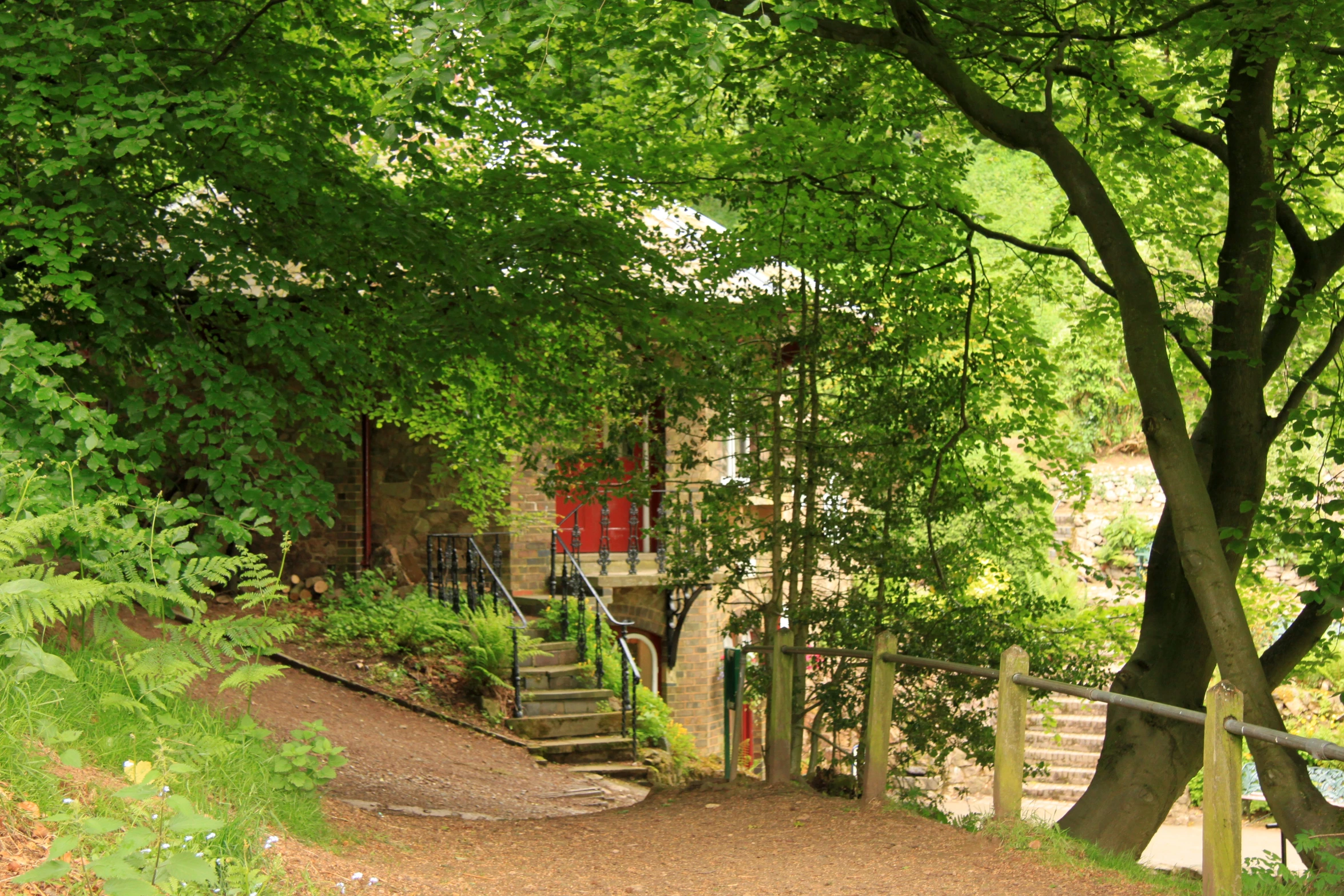 an outdoor view with stairs leading to a tree lined pathway
