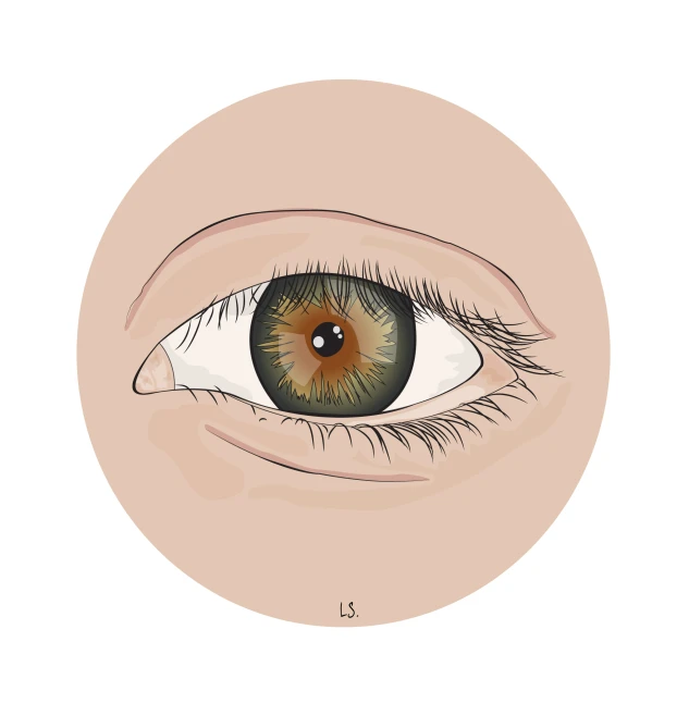 an eye showing the center of its iris and the outside of the iris