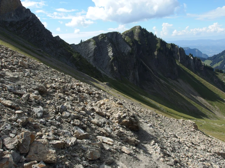 a lone bird is sitting on top of a rocky hill