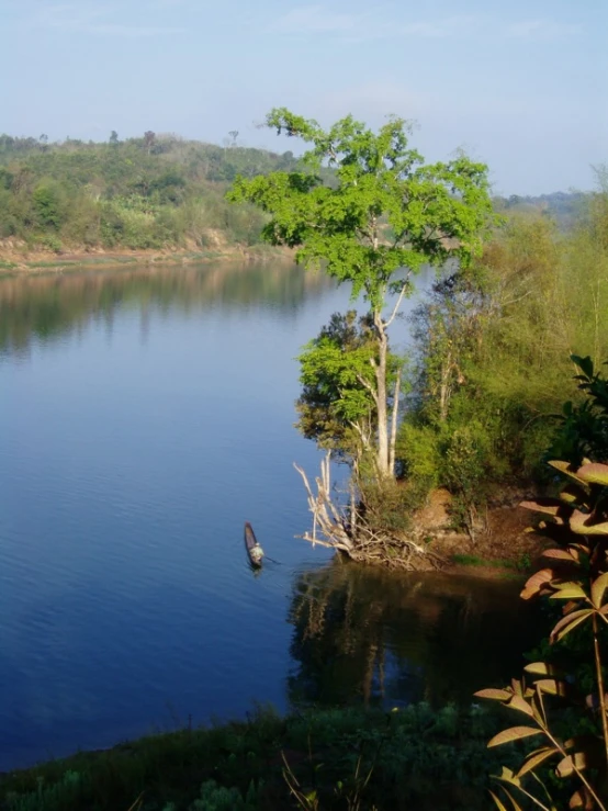 a small boat on the water with trees around it