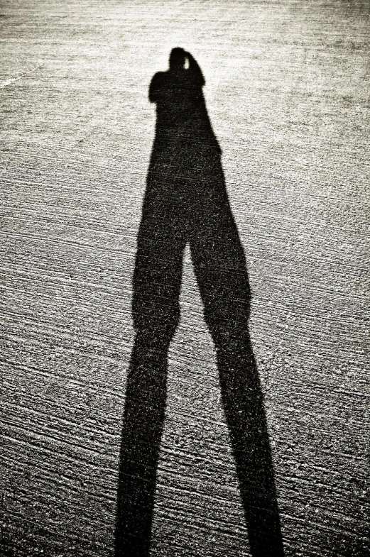 a shadow is cast on a skateboard rider
