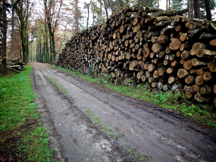 a pile of tree trunks sitting next to a dirt road