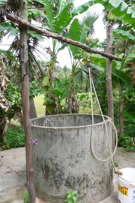 a large round metal tub next to a forest