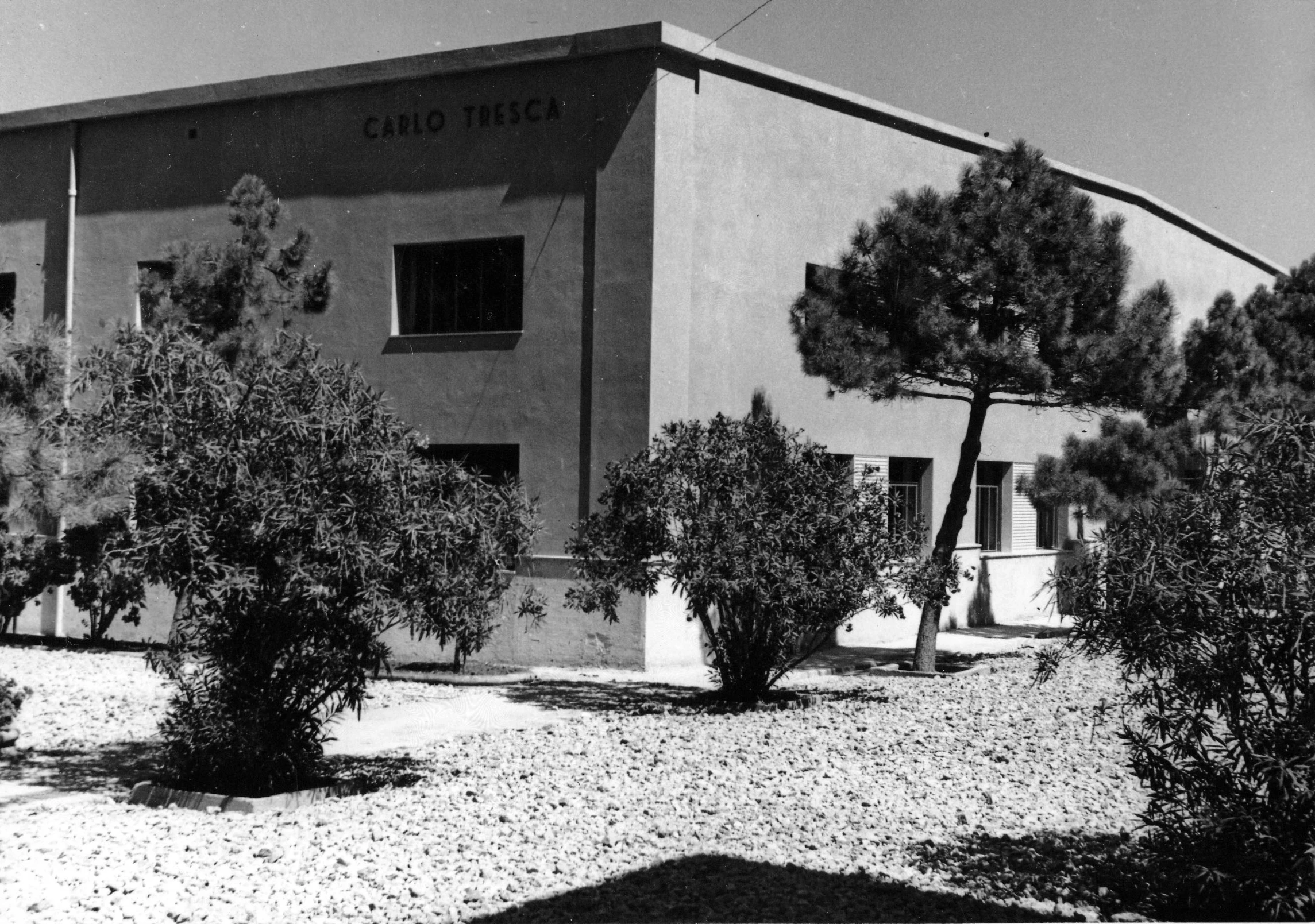 several trees line the sides of a large building