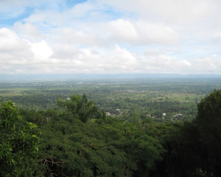 a wide, hilly area with a forest on the far right