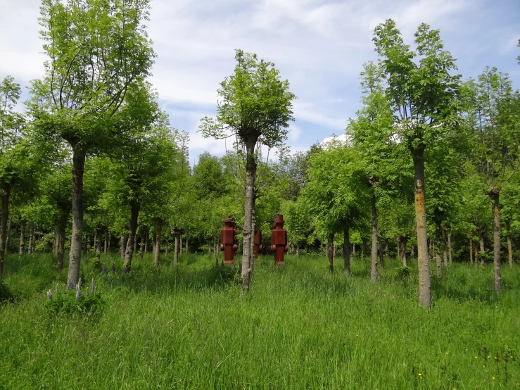 two men standing next to each other in the middle of a forest