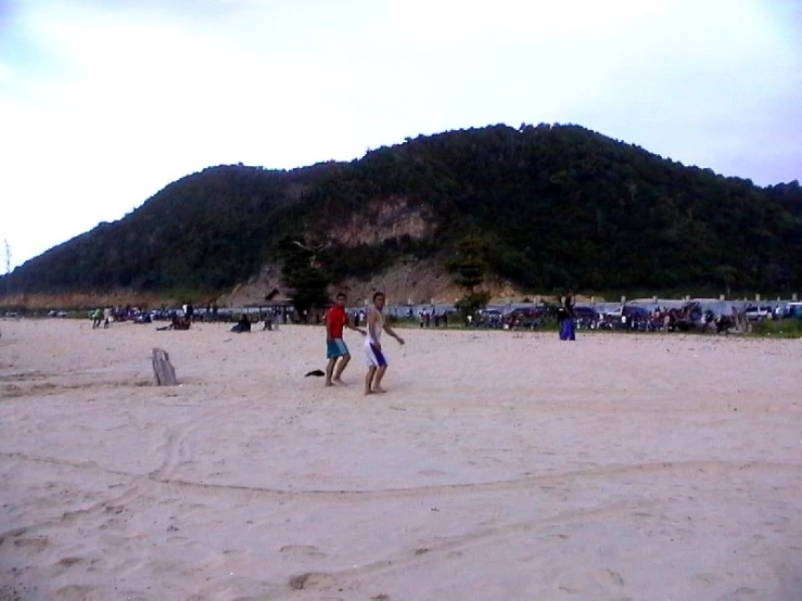 people playing with a frisbee at the beach