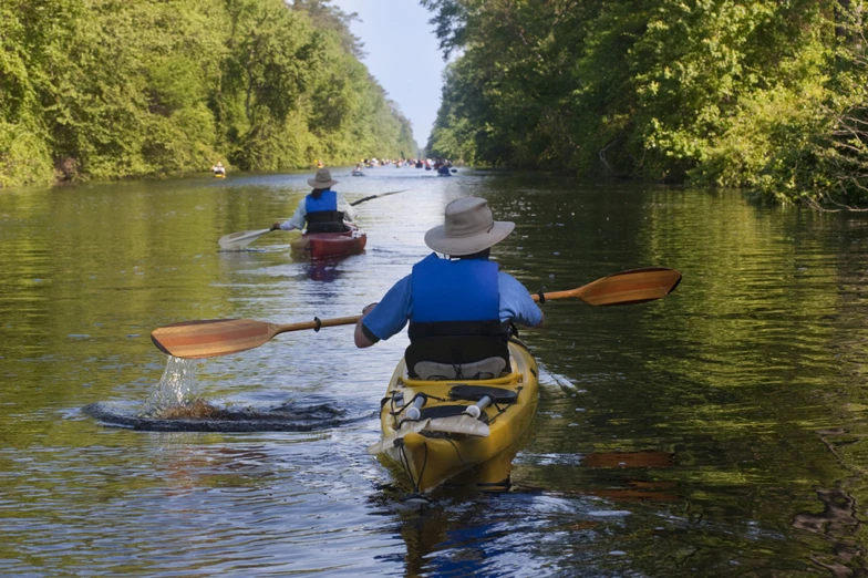 people are in a canoe with their backs to the side