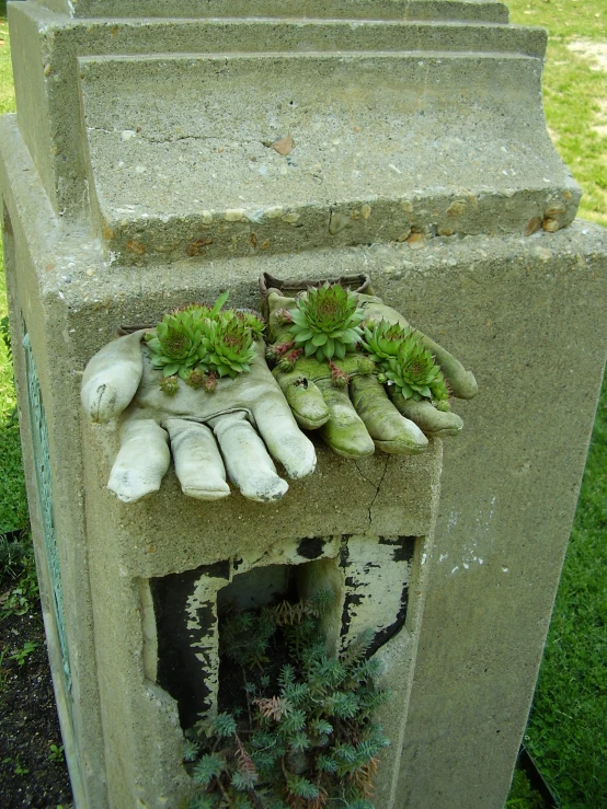 a cement structure with several small succulents on it