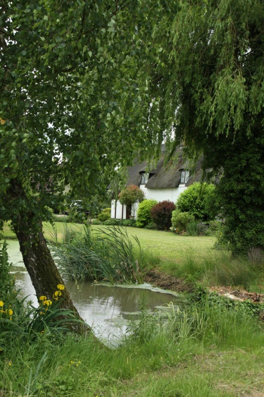 a house next to a creek with yellow flowers