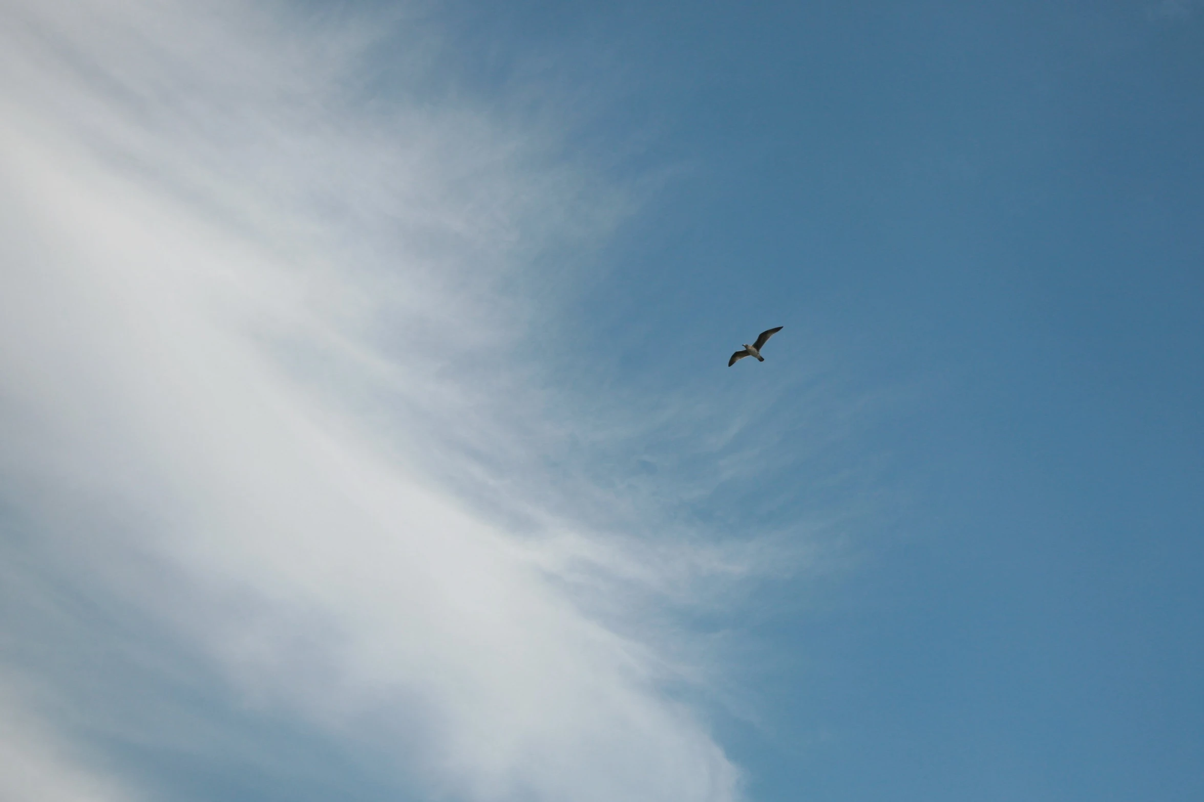 an airplane is flying high up in the sky