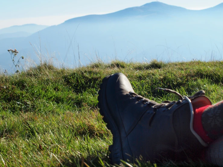 the person is sitting on the grass overlooking the mountain