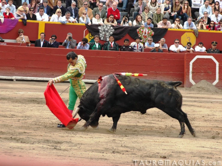 a man is trying to wrestle a large black bull